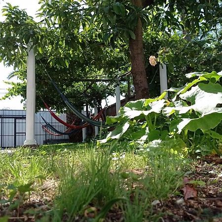 Hospedaje Curico Casa Grande Bagian luar foto
