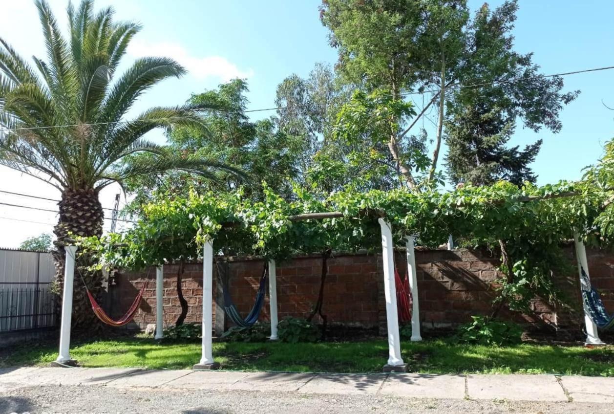 Hospedaje Curico Casa Grande Bagian luar foto